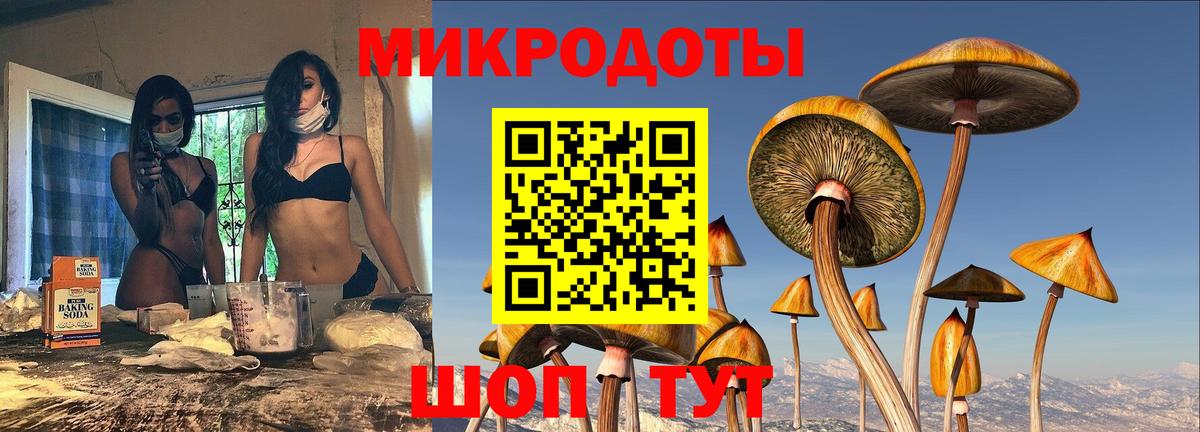 Асино  Галлюциногенные грибы Psilocybe  Вход с VPN 