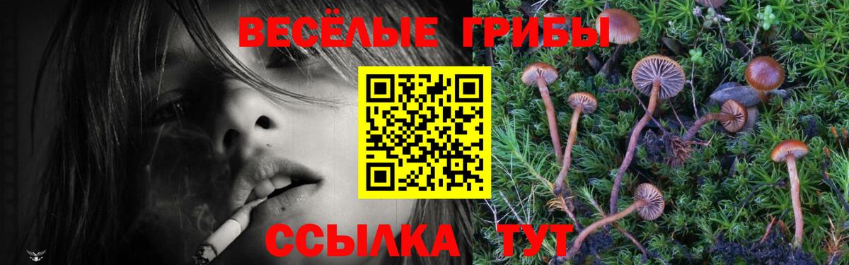 Галлюциногенные грибы прущие грибы Асино